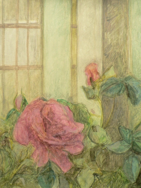 Gwasz przedstawiający róże w ogrodzie na tle jasnego płotu.