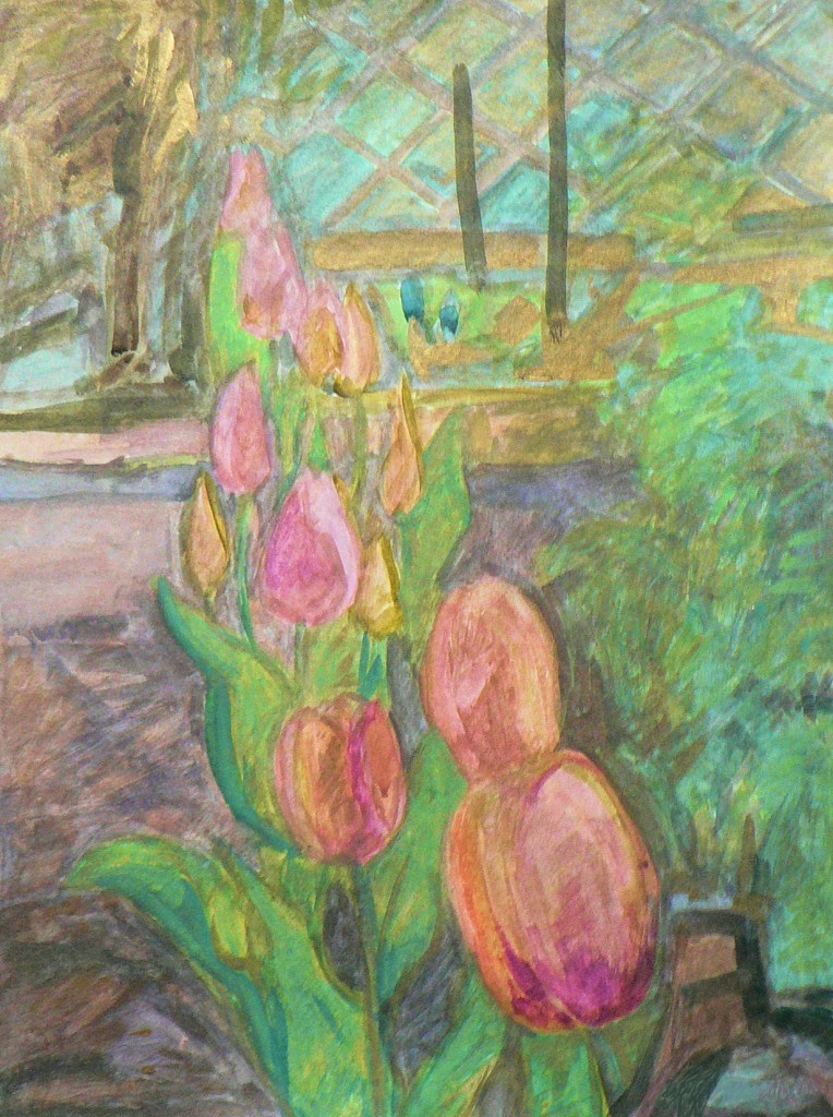 Gwasz o tulipanach w małym ogrodzie.