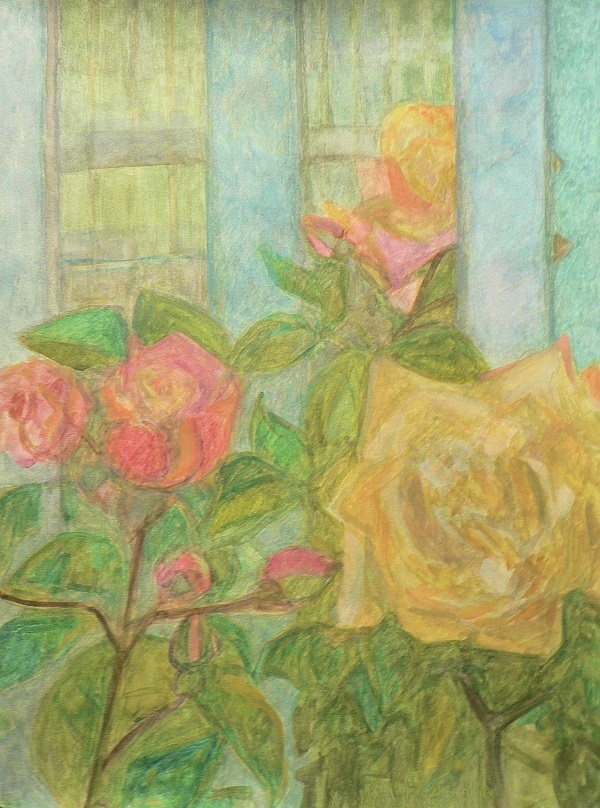 Gwasz o różach wielkokwiatowych w ogrodzie botanicznym.