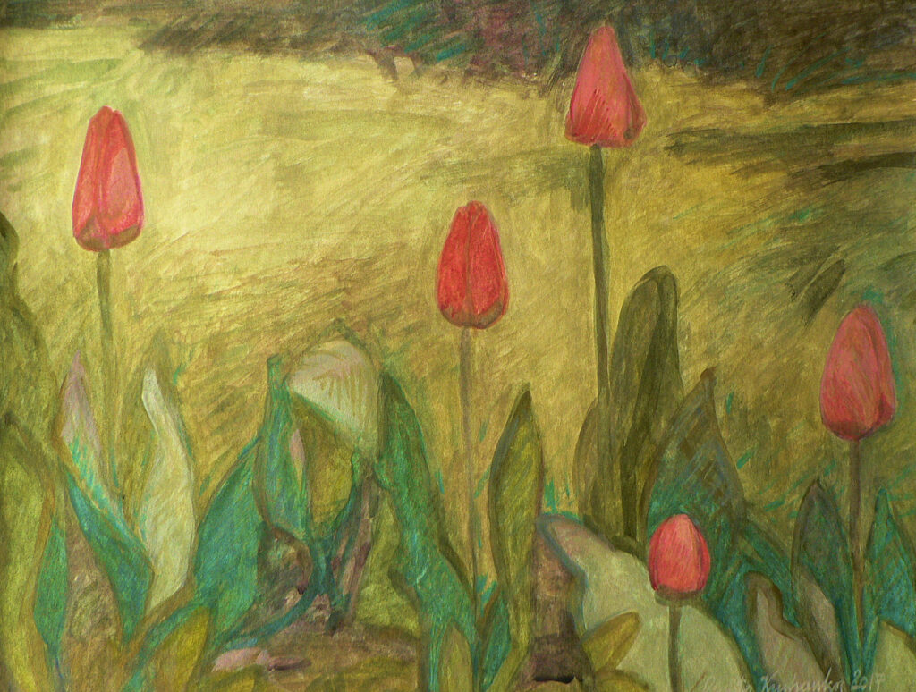 Five pink‑red tulips with petals still closed, on the eve of blooming, painted in gouache.